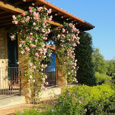 Вилла Casa Maria Мальяно-ин-Тоскана Экстерьер фото
